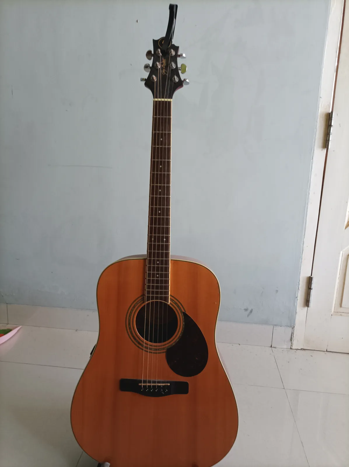 Acoustic guitar